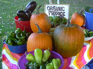 Click to enlarge image in a resizable window.